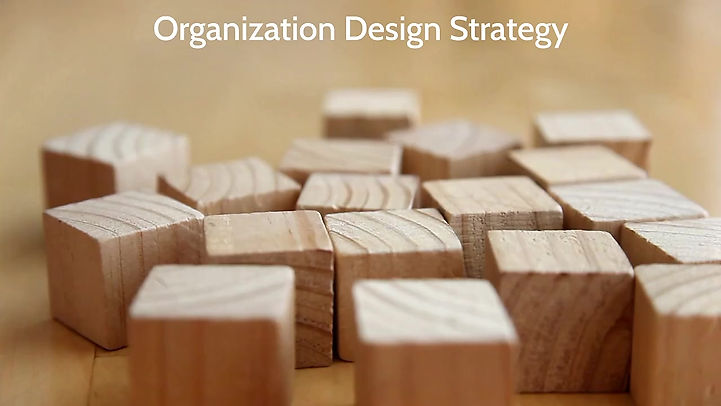 Org-ology Organization Design Strategy